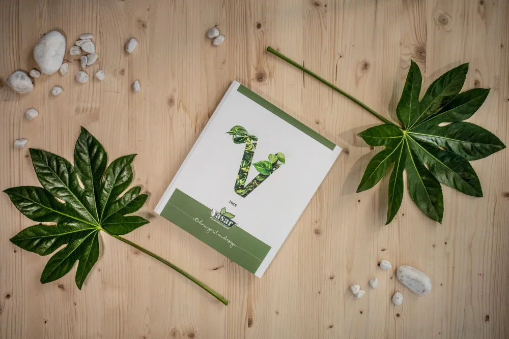 Catalogo: VASAR 2