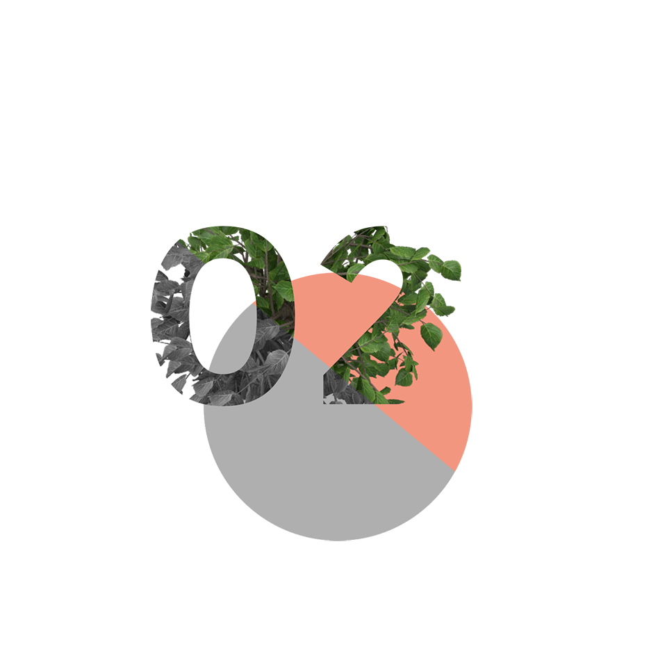 il metodo epops - 02 analizziamo