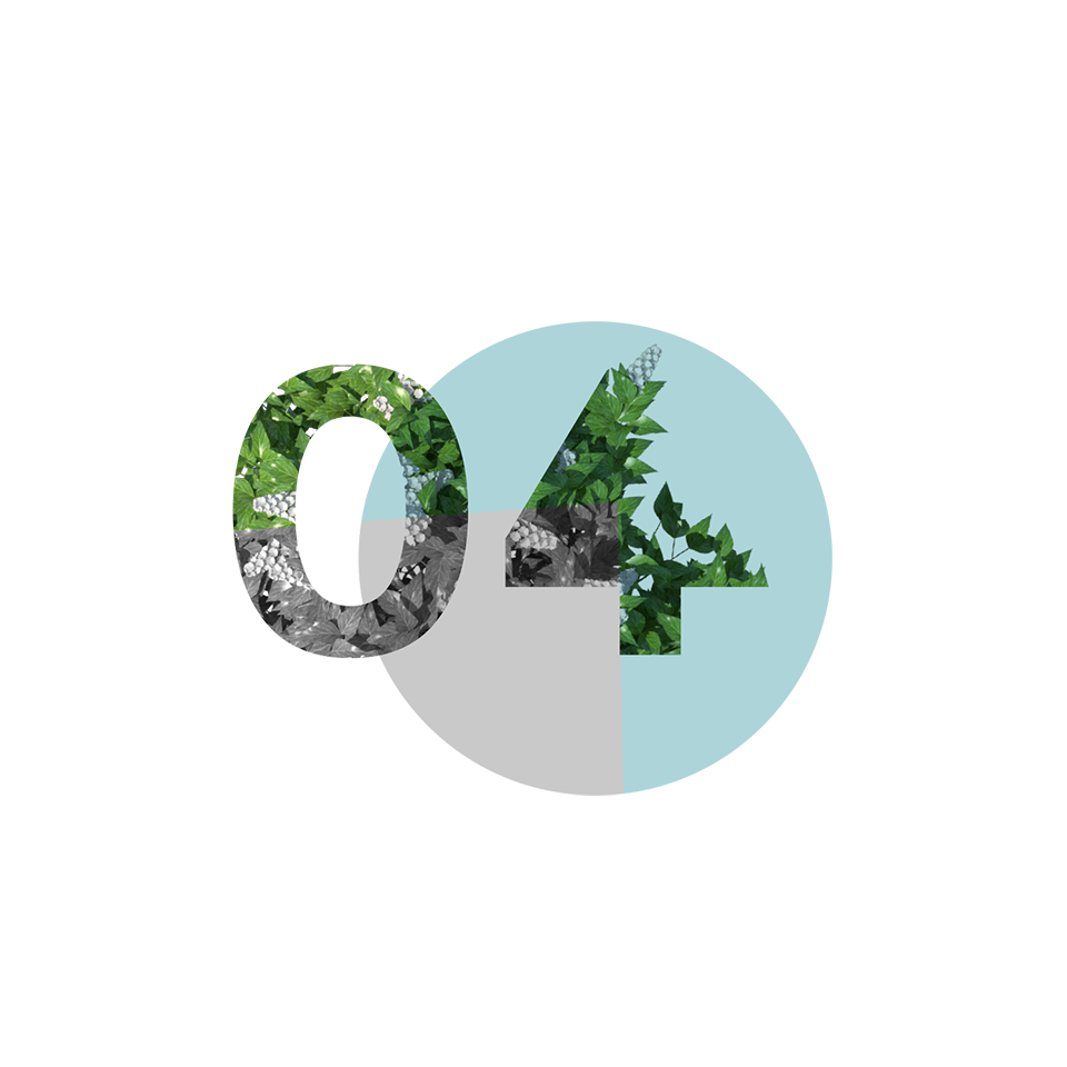 il metodo epops - 04 progetto e sviluppo